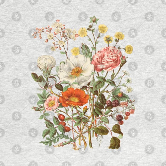 Rose & Wildflowers Vintage Botanical Illustration by Biophilia